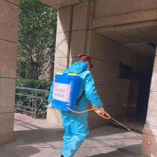 安全大過(guò)天 防寒防疫兩不誤 以“防疫健康包”為抓手，全力守護(hù)業(yè)主健康安全